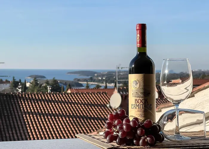 Juric 아파트 브르사르